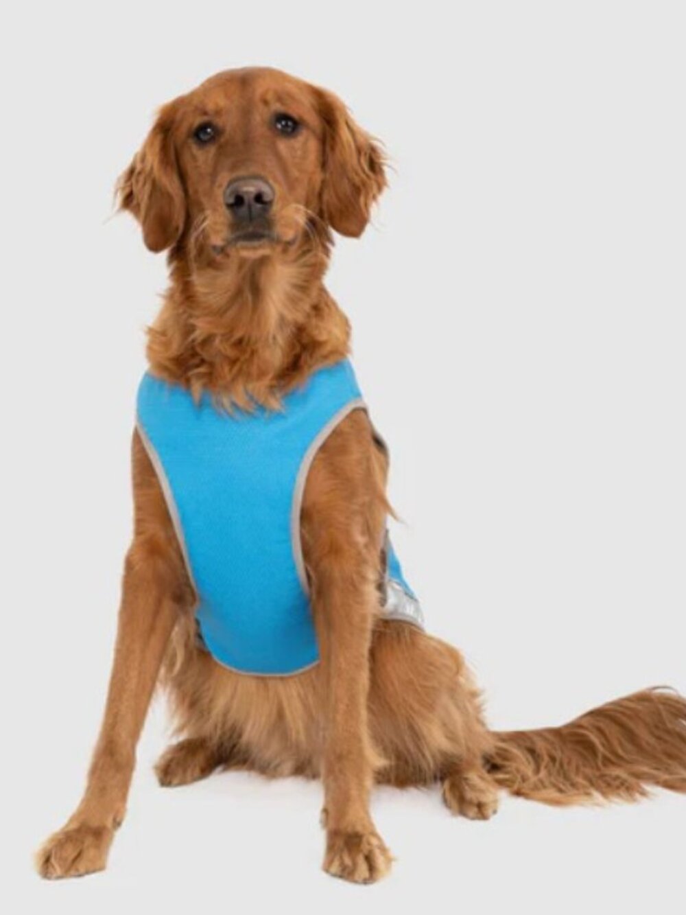 Dog cooling jacket - Picture 10 of 11